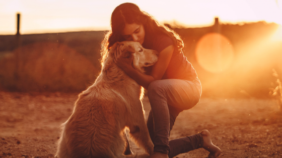 Vulnerability At Our End Of The Lead 