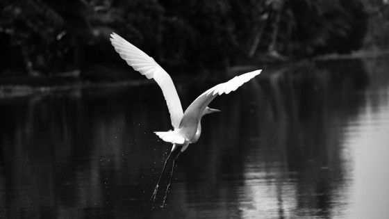 What is Prosperity Really?