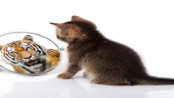 Why your Relationship with Yourself is the Most Important of All