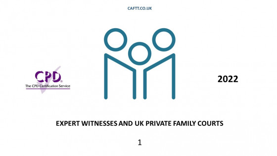 Expert Witnesses and UK Private Family Courts 1