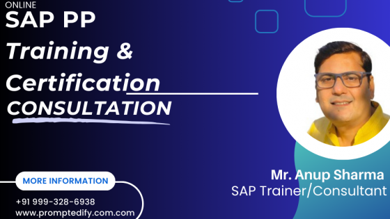 Top 10 SAP PP Online Training with Certification in Africa: Discover your Career in SAP
