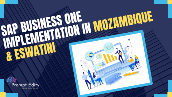 From Planning to Execution: Comprehensive SAP Business One Implementation in Mozambique and Eswatini