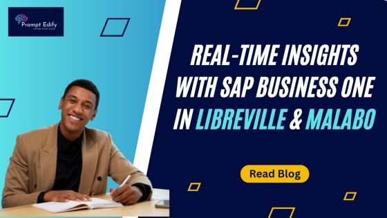 Get Real-Time Insights with SAP Business One Solutions in Libreville and Malabo