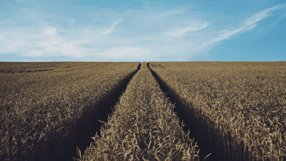 Creating Margin in a Busy Life