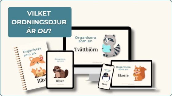 Vilket Ordningsdjur är du? Del 1: Tvättbjörnen.