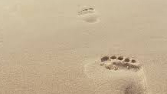 Vad hindrar dig från att nå dina mål?