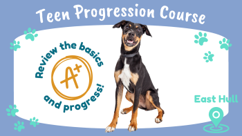 course image
