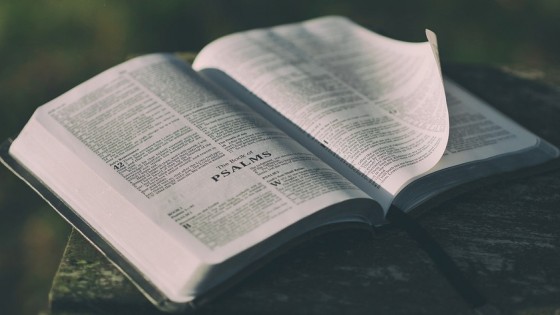 BEGIN THE NEW YEAR BY STRENGTHENING THE FOUNDATIONS OF YOUR FAITH?