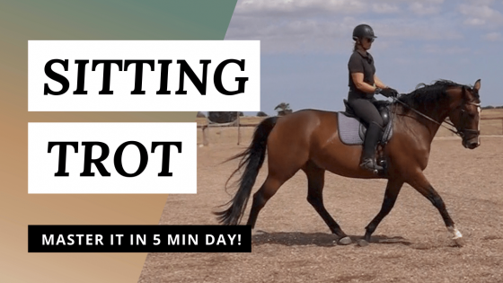 Sitting Trot – How We REALLY Do It.