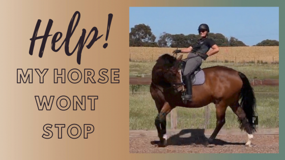 Stopping Your Horse