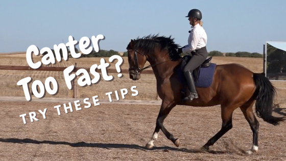 How To Help Your Horse Balance In The Canter