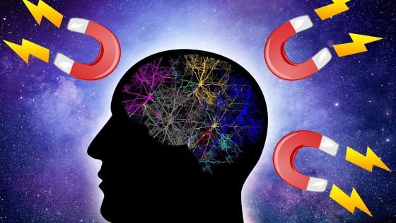 My Story & the Law of Attraction