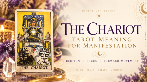 The Chariot Tarot Meaning for Manifestation: Direction & Focus