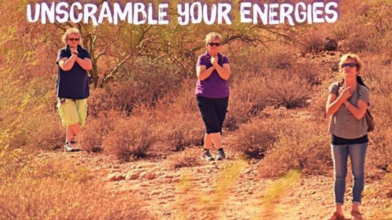 The Secret to Un-disorganization: Do You Know Wayne?