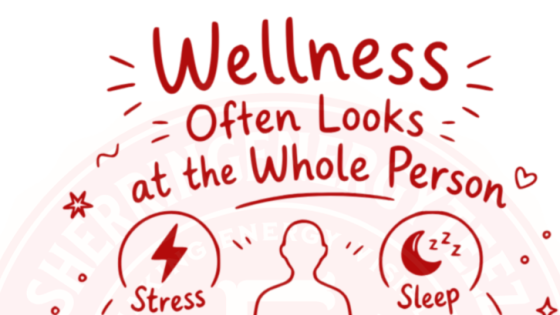 Part 4: Wellness Often Looks at the Whole Person