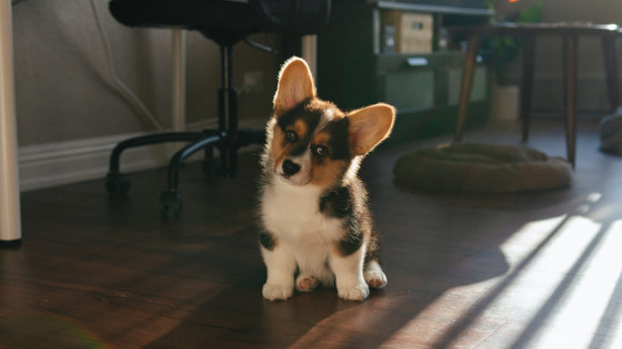 SEPARATION – 6) LEAVING THE HOUSE