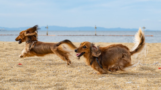 SEPARATION – 7) PHYSICAL EXERCISE