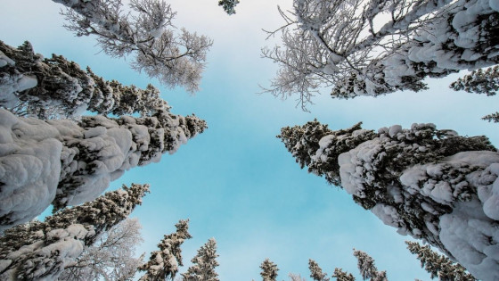 Suomi 100-vuotta 6.12.2017