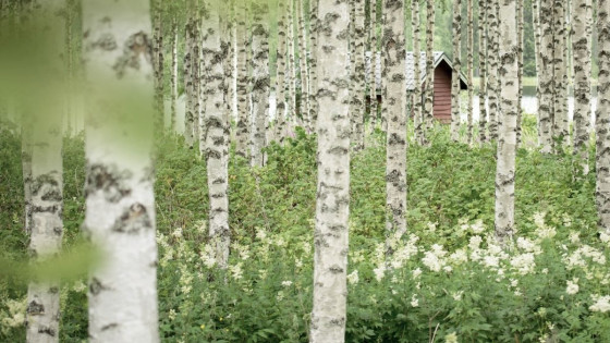 Esko Jalkanen – Suuri suomalainen tietäjä