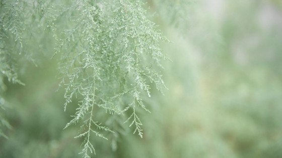 Muuttuvassa todellisuudessa