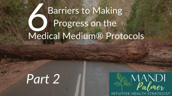6 Barriers to Making Progress on the Medical Medium Protocols: Part 2