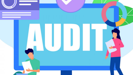 The Concept of Audit and Other Assurance Engagements