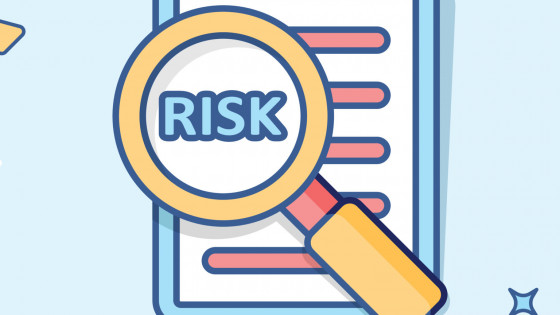 Core Activity D – Evaluate and mitigate risk