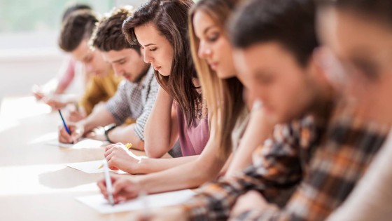 ACCA Exam Results: Key Insights and Analysis