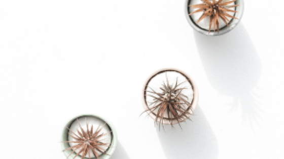 Change this Word – Instantly Shift Your Mindset