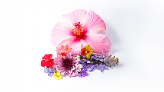 Looking For A Sign? Read This.