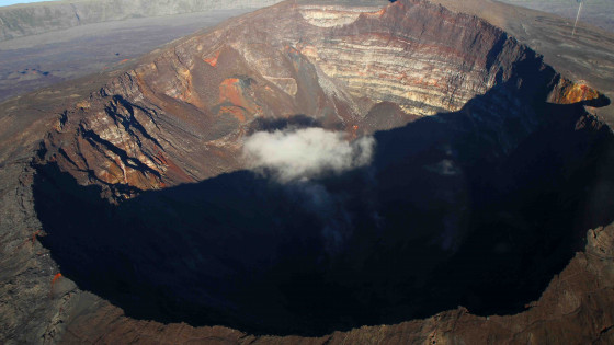 When Did Dinosaurs Roam the Earth?