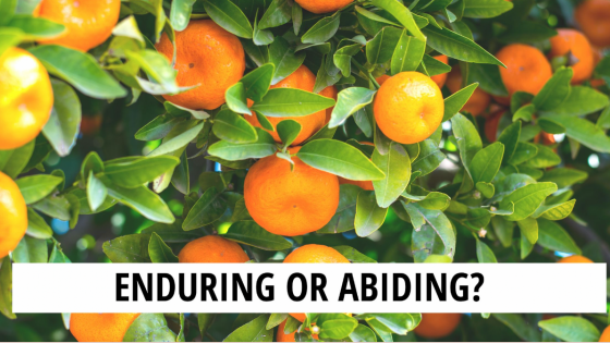 Enduring or Abiding?