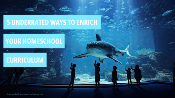 5 Underrated Ways to Enrich Your Homeschool Curriculum!
