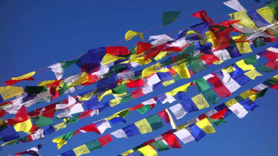 Five Wisdom Energies Discovering Natural Brilliance  in the Darkness of Your Confusion