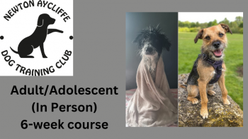 course image