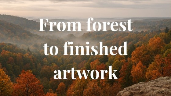 From Forest to Finished Artwork | Wildlife Art Inspiration