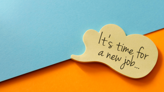 Alumni Guest Blog - Exploring a Portfolio Career