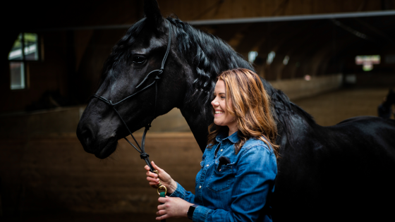 Välkommen till Hållbara Hästar! 