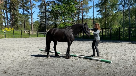 Effekterna av slow walk 