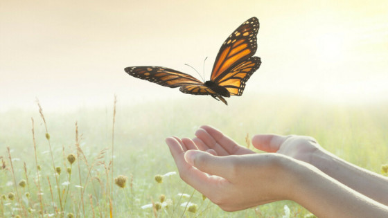 Break Free From Relationship Karma