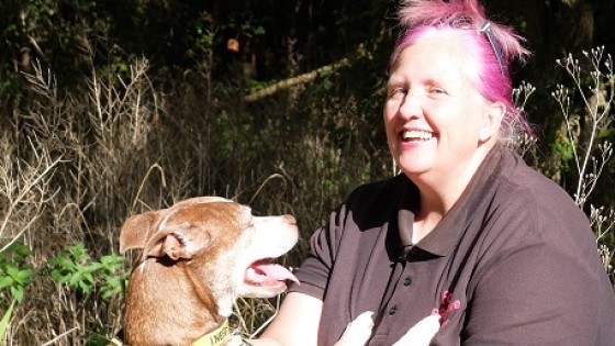 A foundational guide to walks with a reactive dog