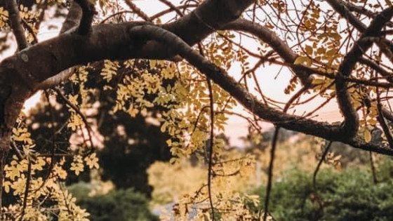 Your child can't calm down before you do. 