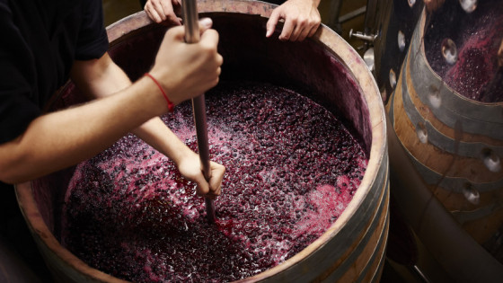 ¿Qué es el mosto de uva?