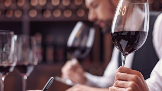¿Qué es una cata de vino? | Ecnology