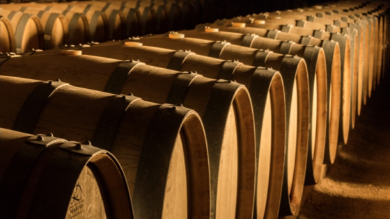 Tipos de guarda de vinos