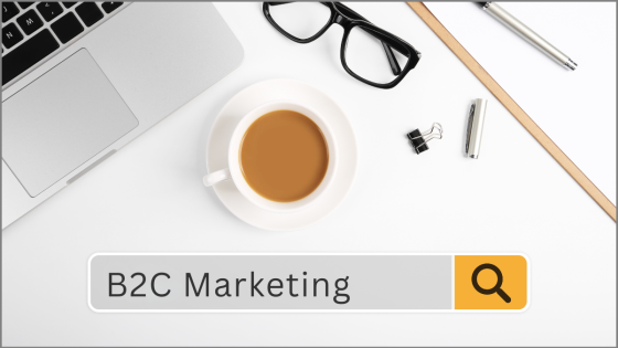 B2C Audience: Do You Need A Lead Magnet?