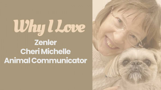 Why I Love Zenler Cheri Michelle - Animal Communicator