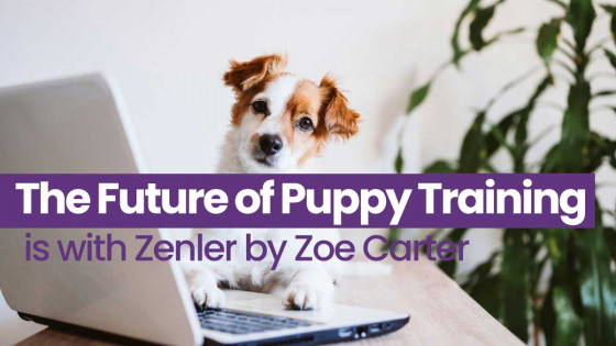 The Future of Puppy Training is with Zenler by Zoe Carter