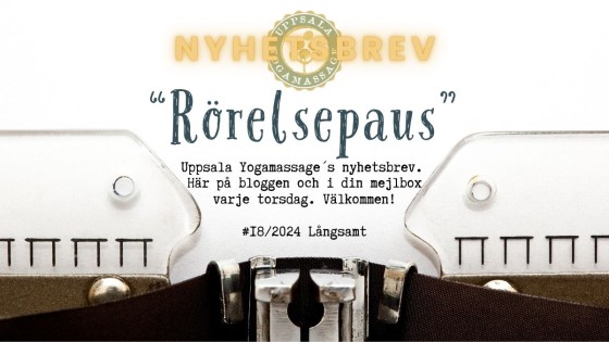 #18 Rörelsepaus Långsamt