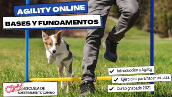 course image